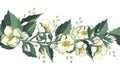 ÃÅ¾ÃÂÃÂ½ÃÂ¾ÃÂ²ÃÂ½Ãâ¹ÃÂµ RGBSeamless floral border with jasmine. Endless horizontal decorative brush